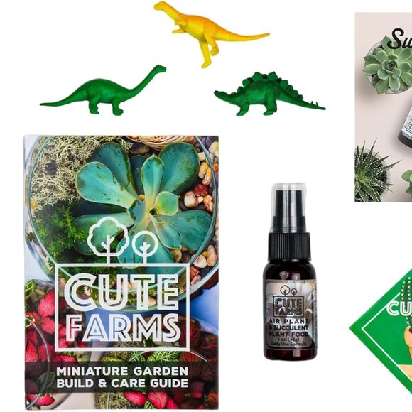 Terrarium Starter Kit | Moss, Vermiculite, Soil, Pebbles, Plant Food, Finishing - Picture 5 of 7